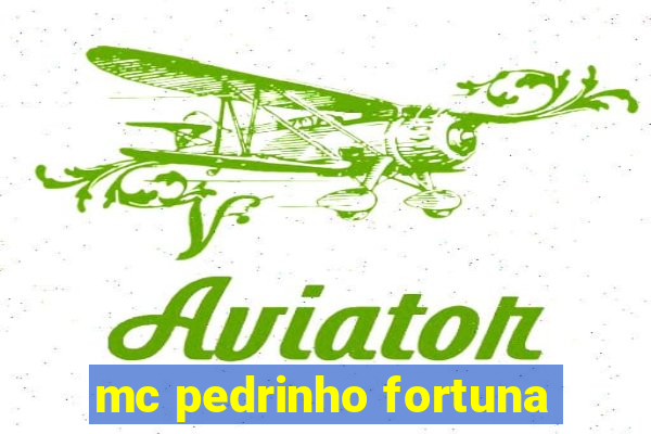 mc pedrinho fortuna